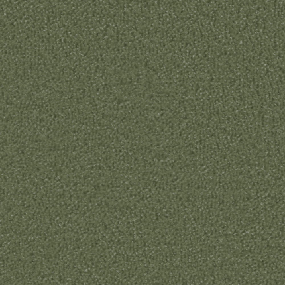 Texture forest green